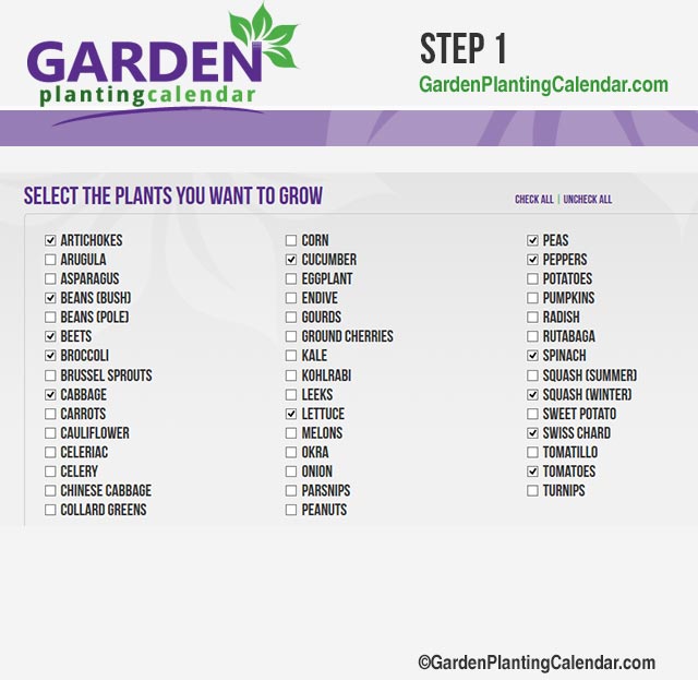 Select the Plants You Want to Grow