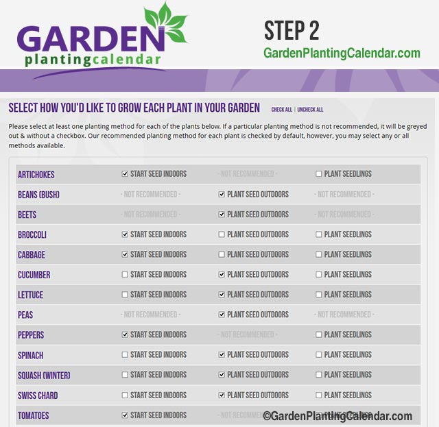 Select How You Want to Grow Your Plants
