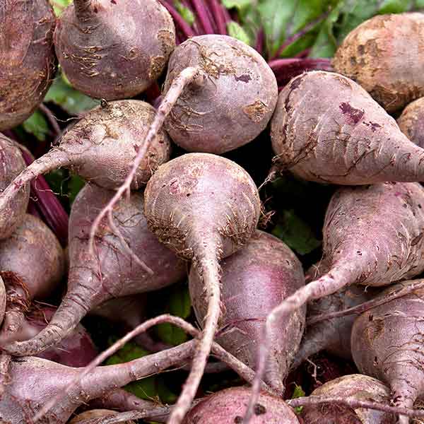 Beets