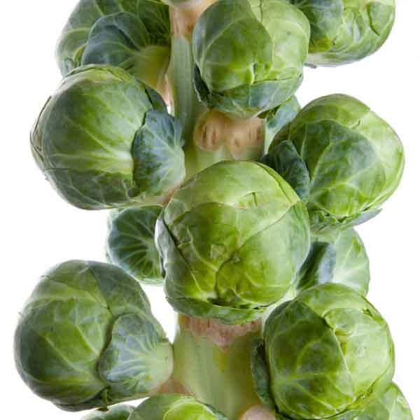 Brussel Sprouts