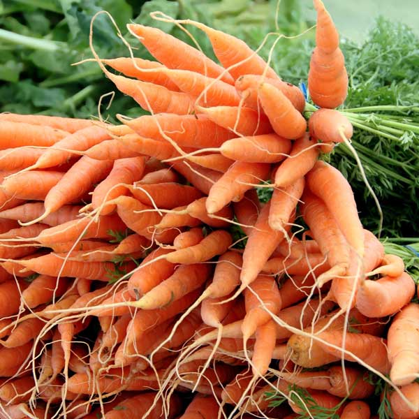 Carrots