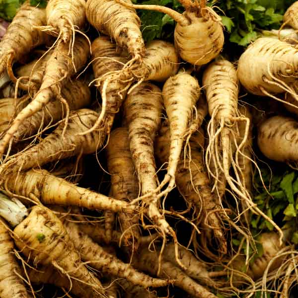 Parsnips