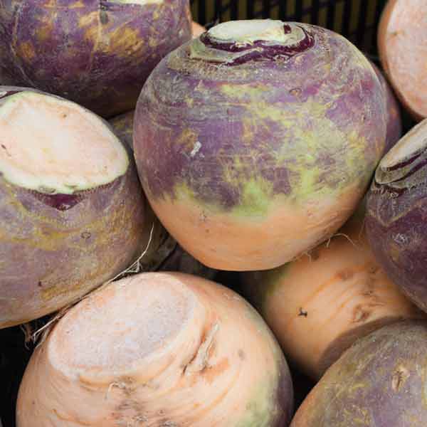 Rutabaga