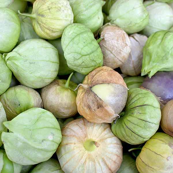 Tomatillo