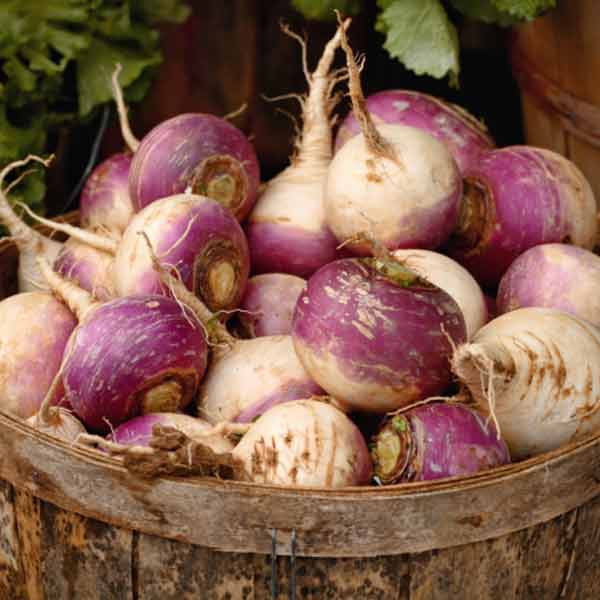 Turnips